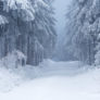 Ostrzeżenie o intensywnych opadach śniegu oraz o zawiejach/zamieciach śnieżnych